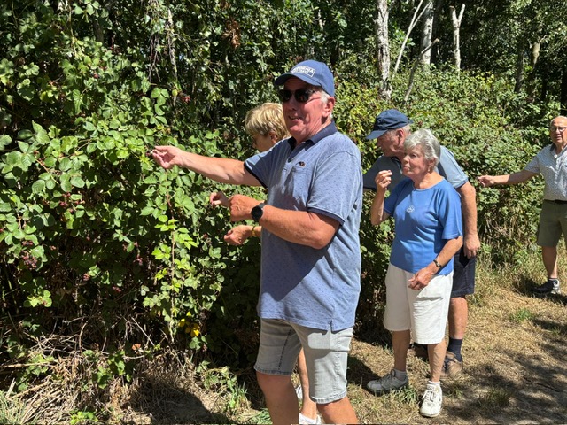 6826Eafa 4Cf5 40A2 83Ff Ef3806489d45