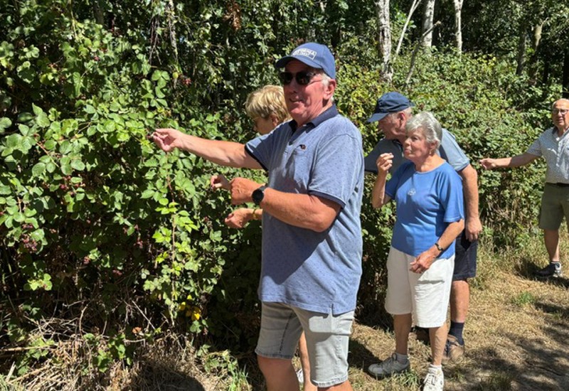 6826Eafa 4Cf5 40A2 83Ff Ef3806489d45