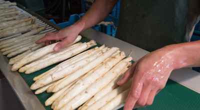 Bommesaarke asperges