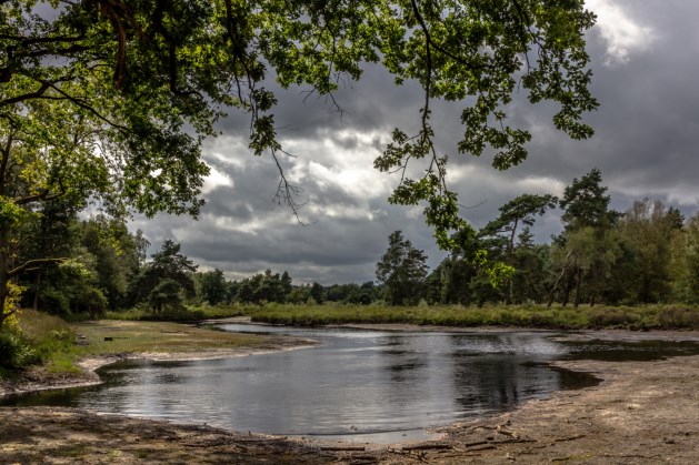 A2a10770 9E60 4279 A49c 9C3a77a7002a 20160821 Img 8118