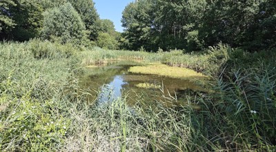 aankondiging wandeling 21-08-2026
