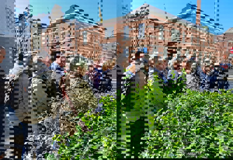 Geschiedenis van de elexir