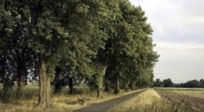 Wandeling Mei (1)