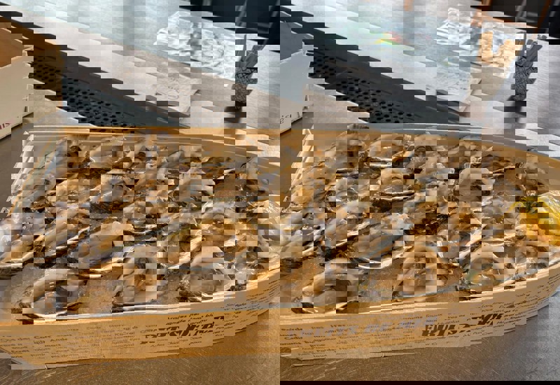 36Ac4e7b 5603 4793 A87b C6377d048848