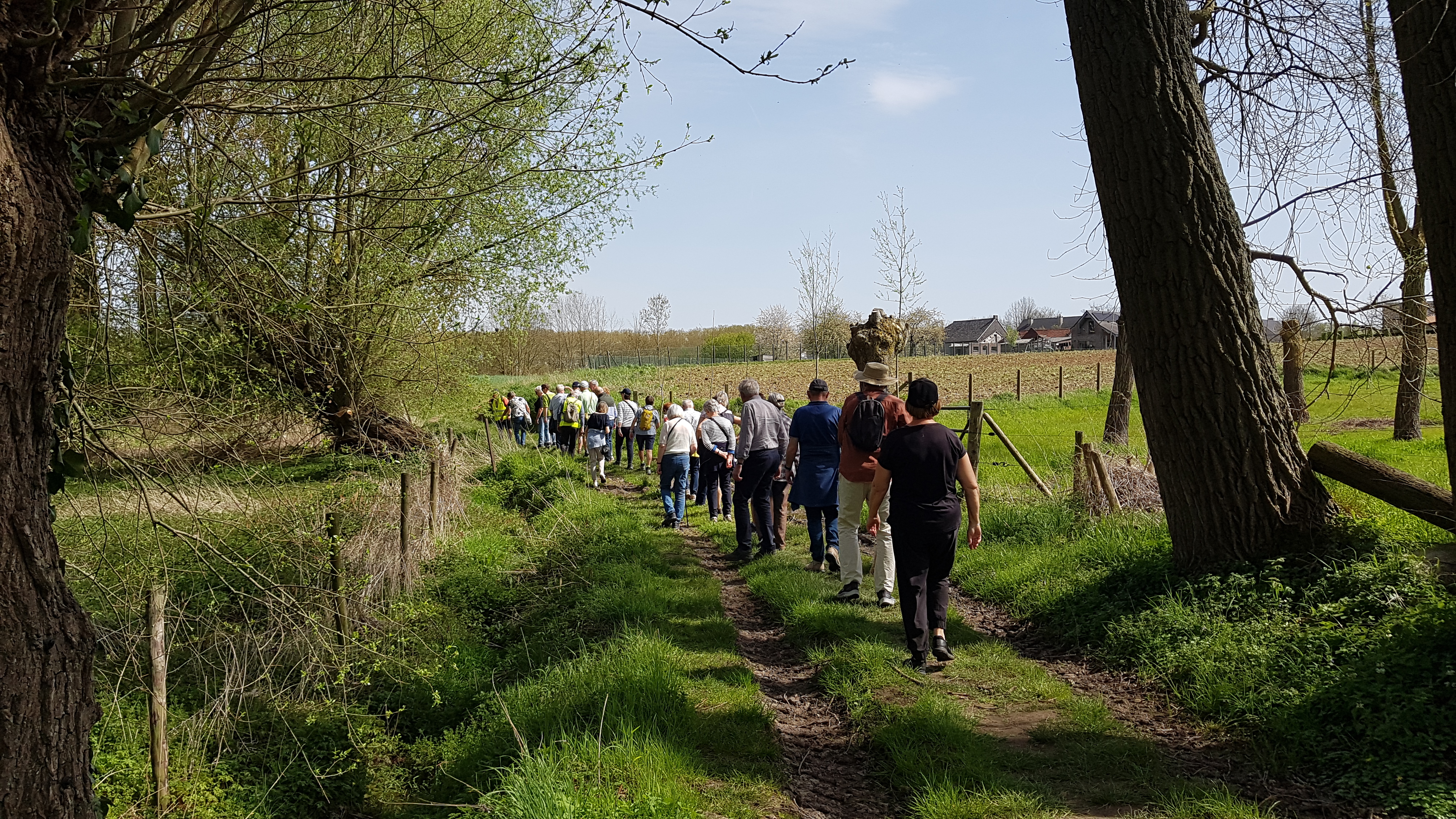 2026-04-09  /  Wandeling in Sint-Goriks-Oudenhove