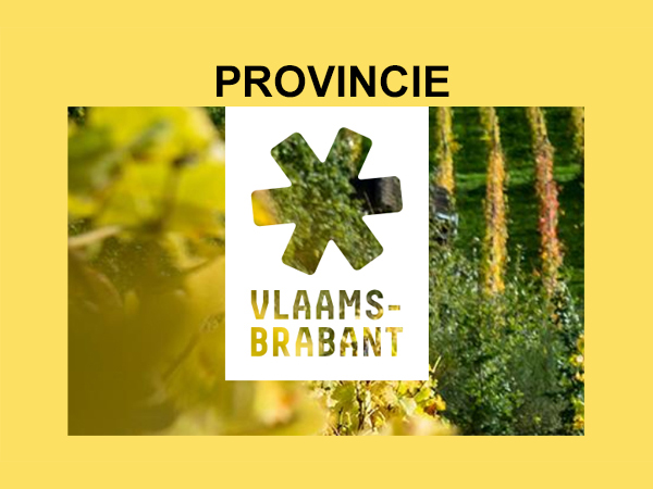 Provincie Vlaams Brabant LOGO 600X450