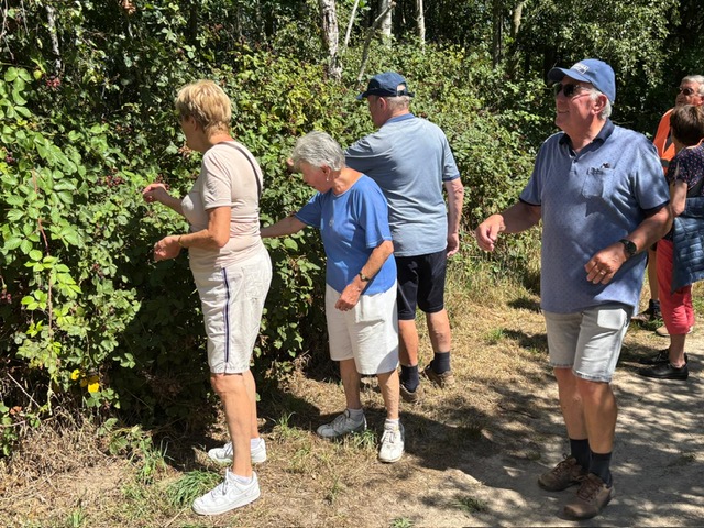 Ec20364f E3dc 4F4c 91Ca Ed3ccf0967b4