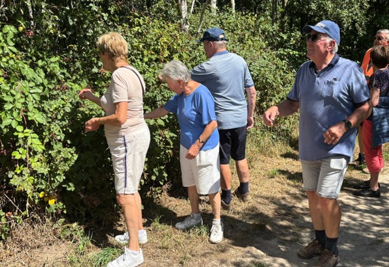 Ec20364f E3dc 4F4c 91Ca Ed3ccf0967b4