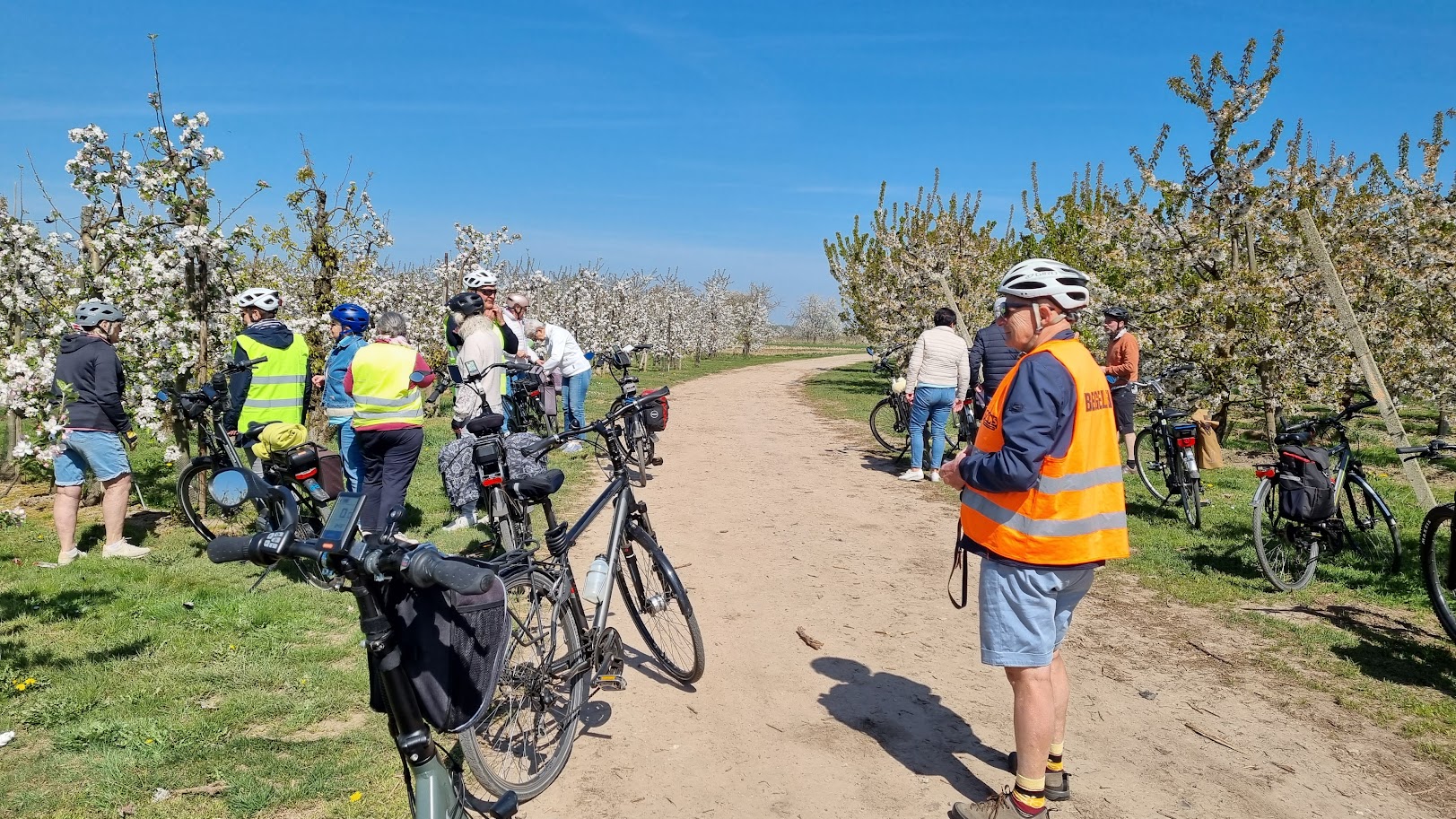 Bloesemfietstocht April 2025