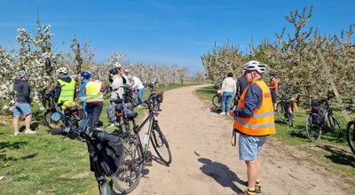 Bloesemfietstocht April 2025