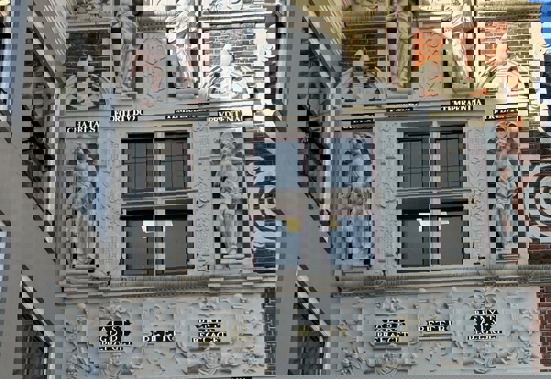 D082fc57 8558 48C4 Beb6 90271F581aa4