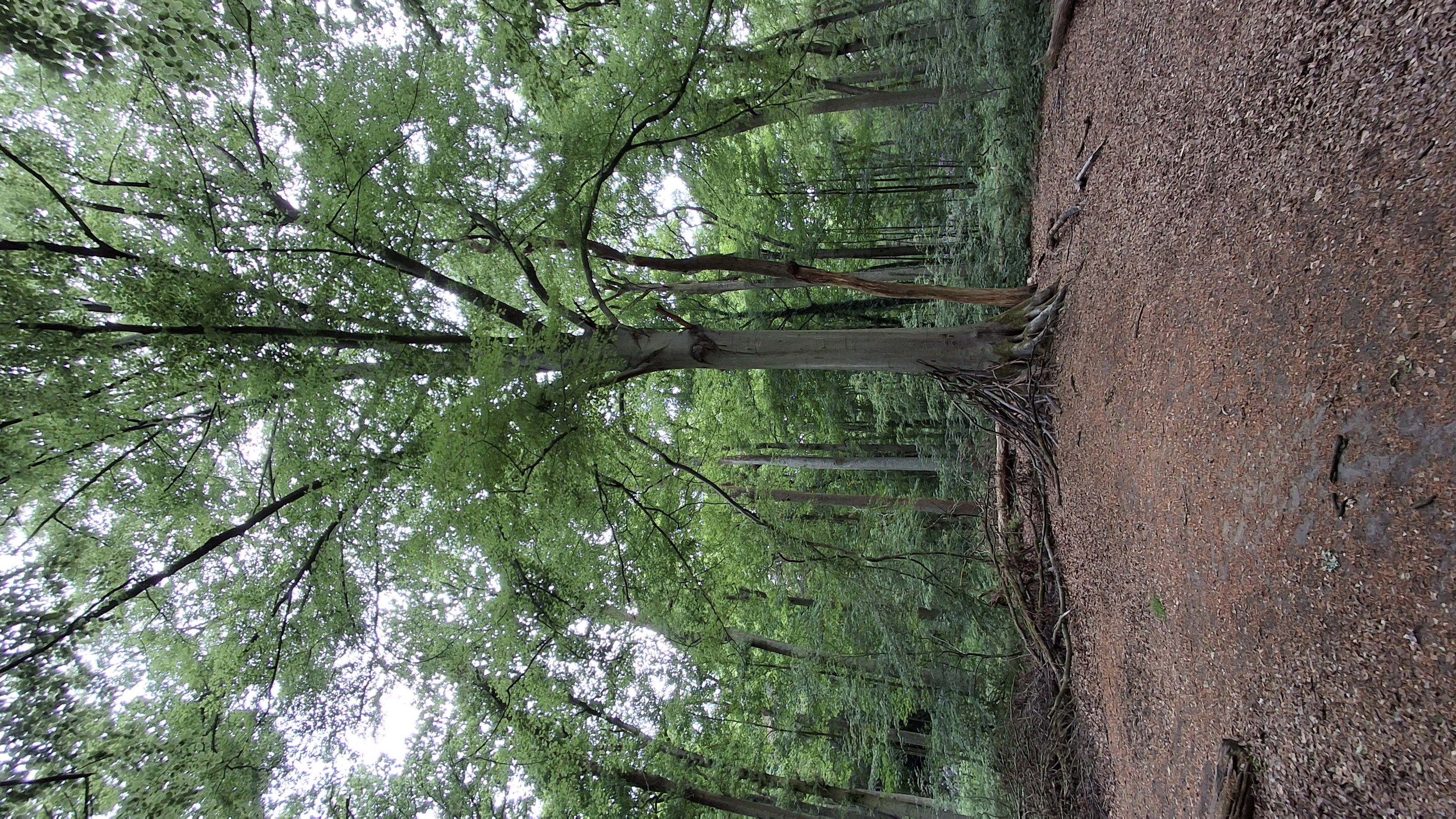 20250518 154007 (002)