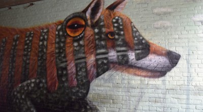Hoogstraten