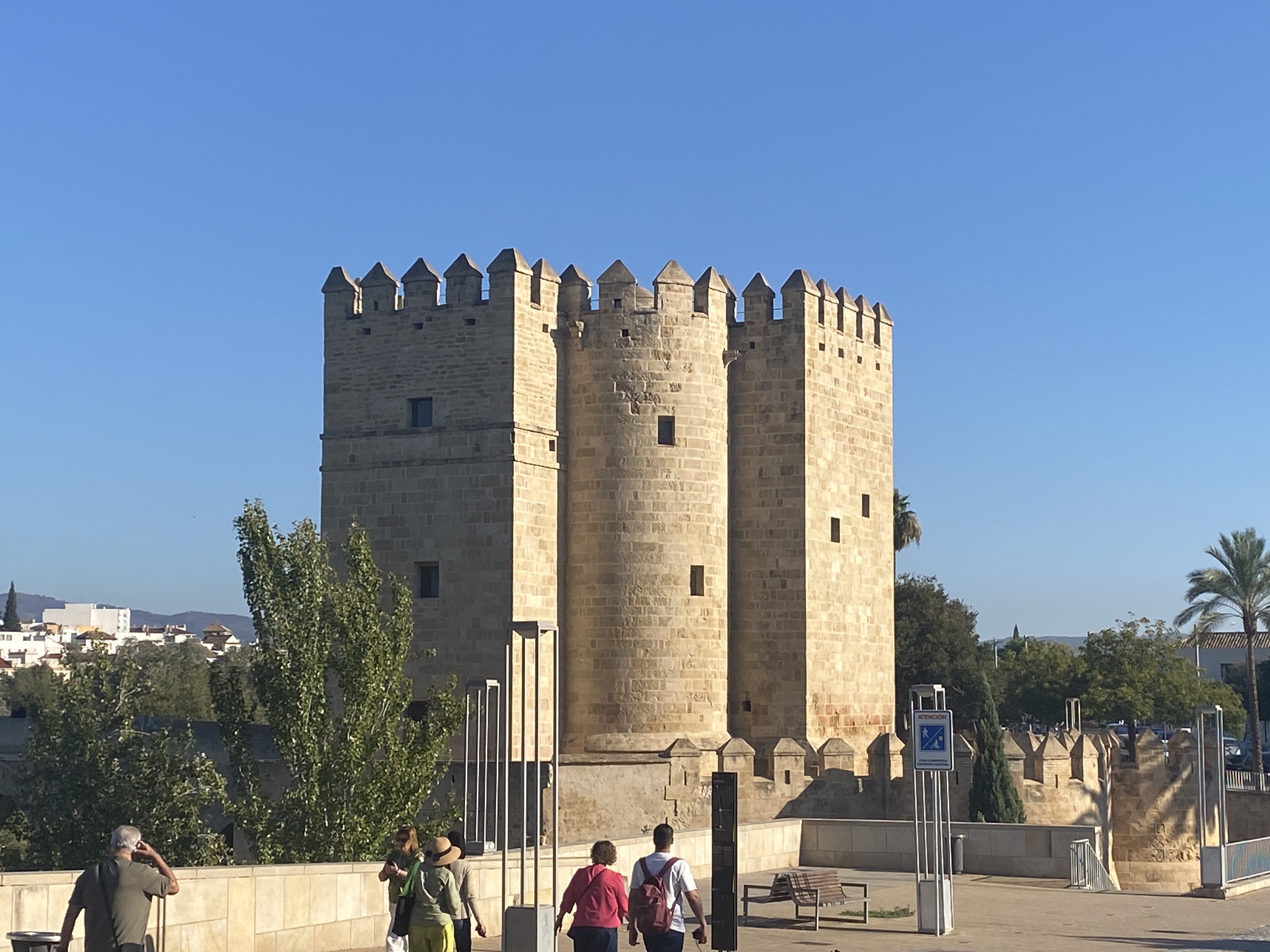 Cordoba l