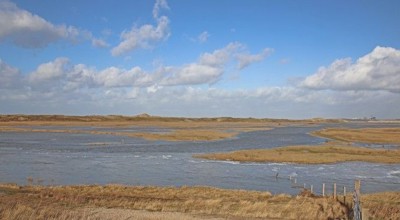 Het Zwin