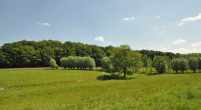 Hugoclauswandeling5