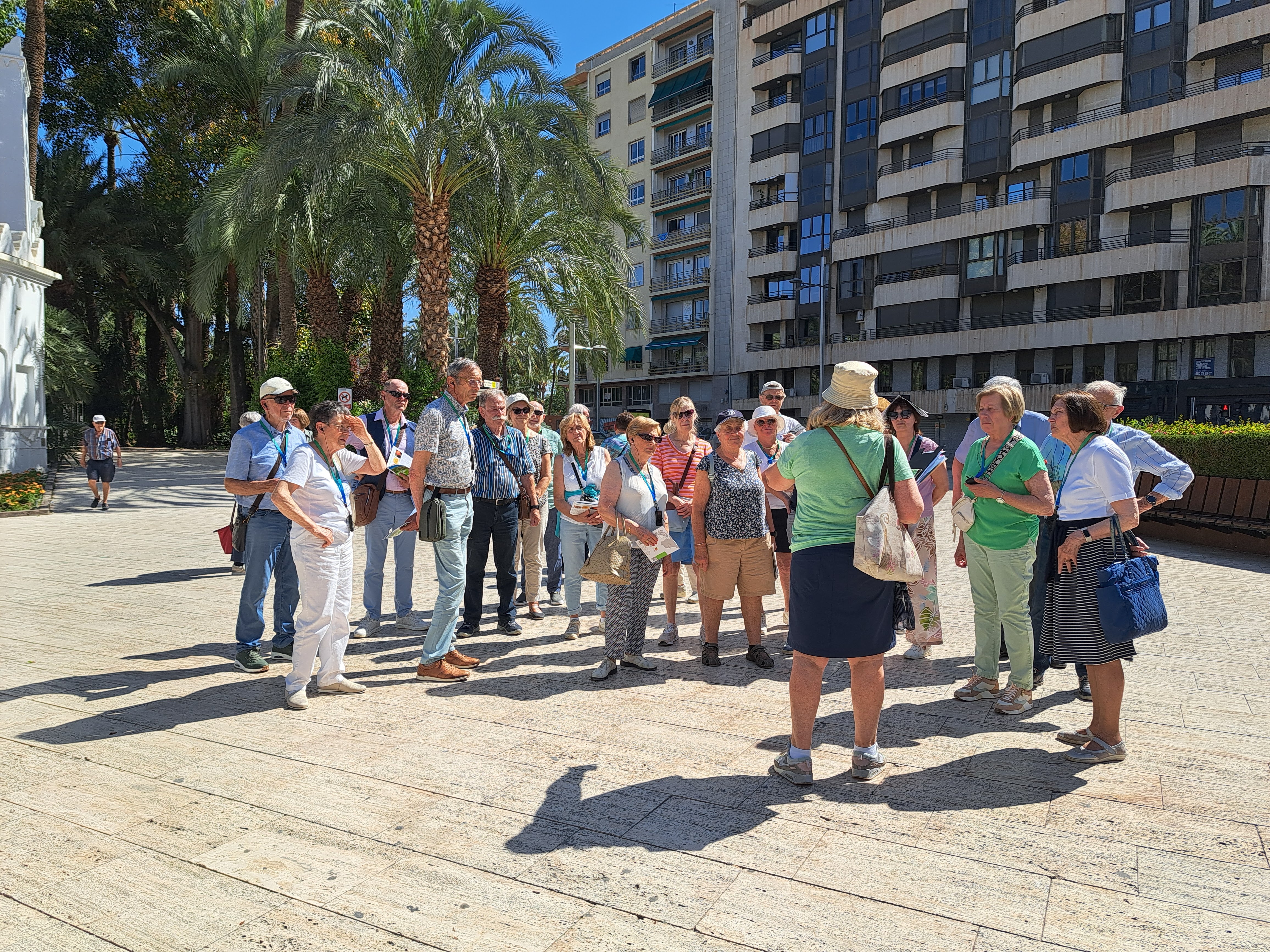 groepje met palmbomen murcia