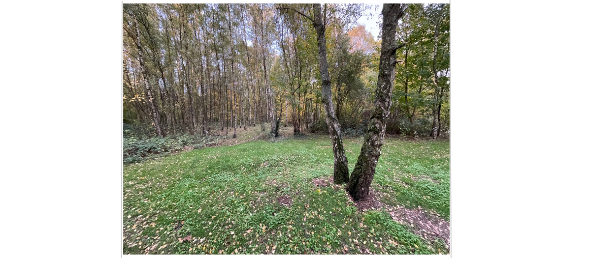 Wandeling Boom 1200 525