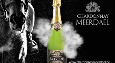 20250819 Chardonnay Meerdael Paard Met Ruiter