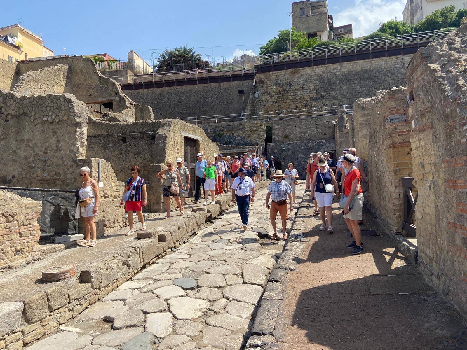 IMG 20240626 WA0003 (1)