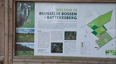 Kattekesberg