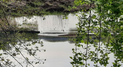 20240413 100554 Dagwandeling Nov 2025