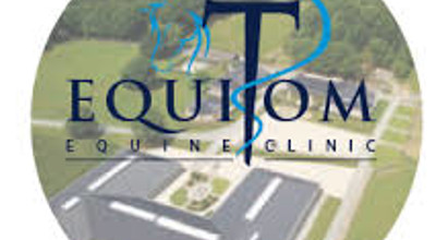 Downloadenequitom