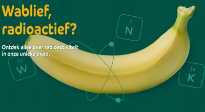 2025 10 30 Dessel Geel1