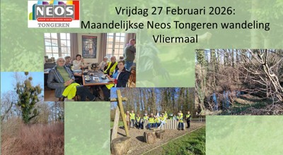 260227 Wandelingvliermaal