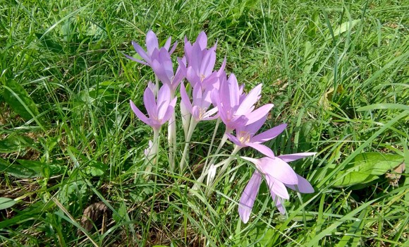 IMG 20250910 131707871 HDR