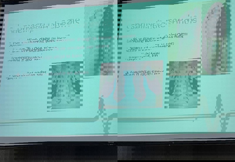 109C252a 67E2 4859 960D 5Aeab6817c2d