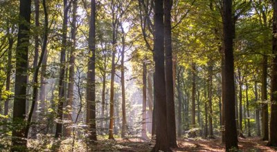 Natuurwandeling Bulskampveld
