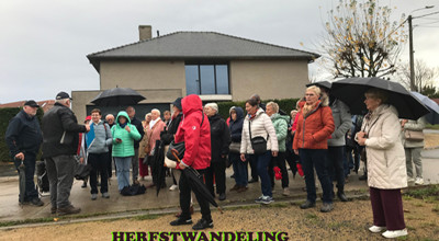 Herfstwandeling