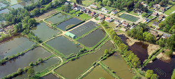 Viskwekerij