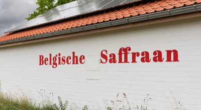 saffraaan
