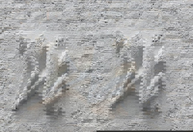 Whatsapp Image 2026 03 10 At 20.57.03