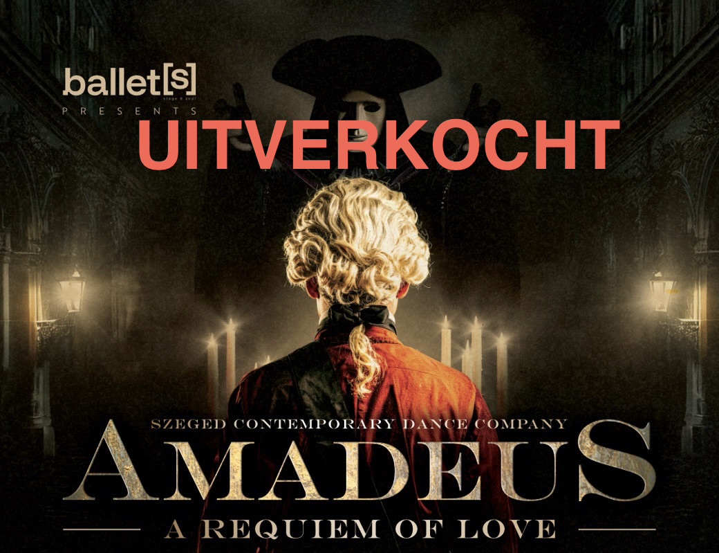 Amadeus New 1080 X 1080 Brussels 15.05.55