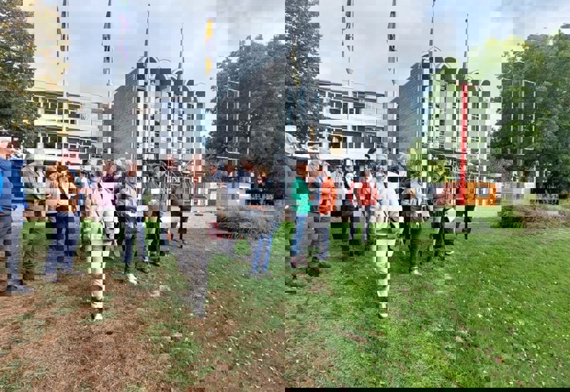 IMG 20251010 WA0032