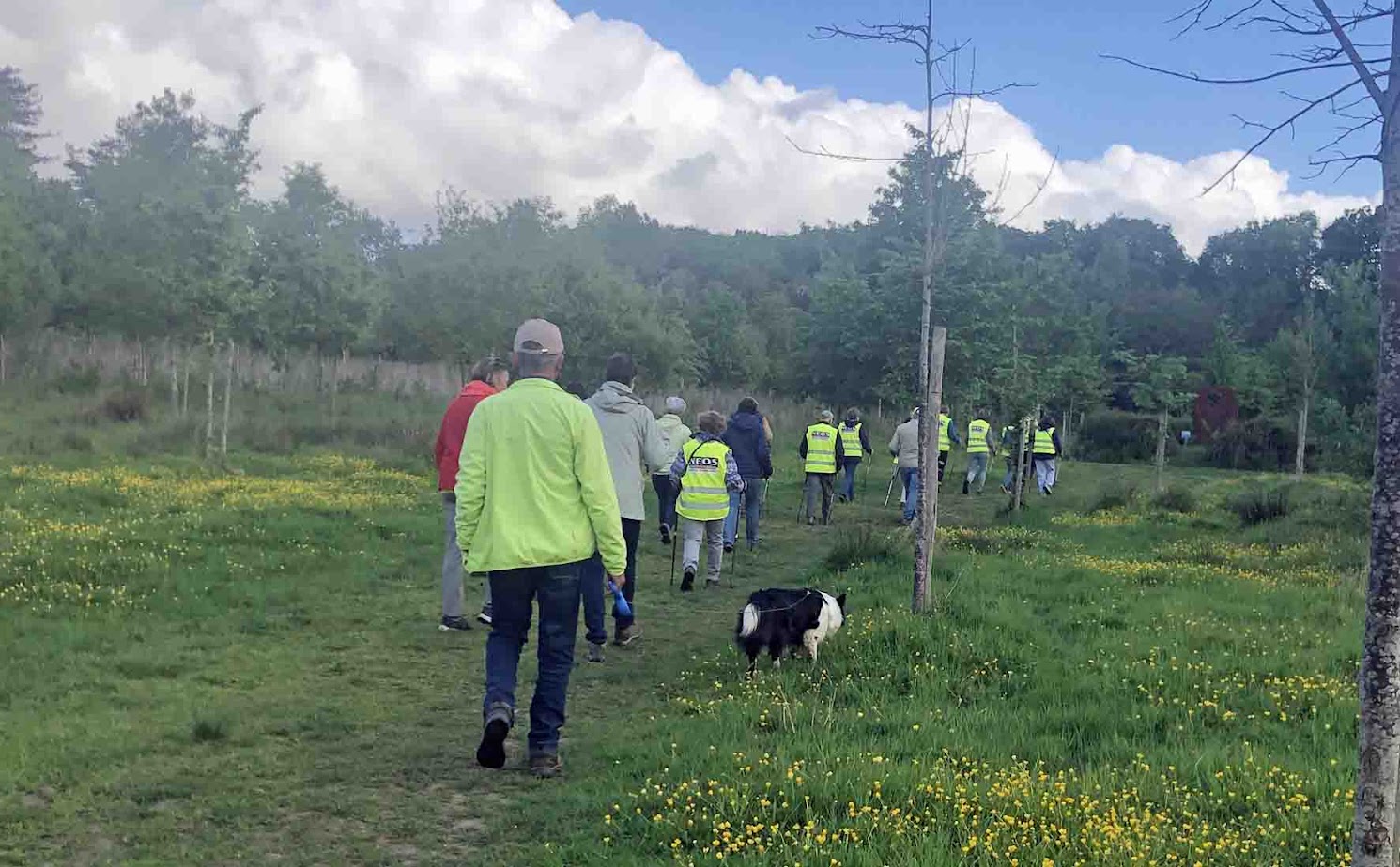 251010 NW 5 Mei Onderweg