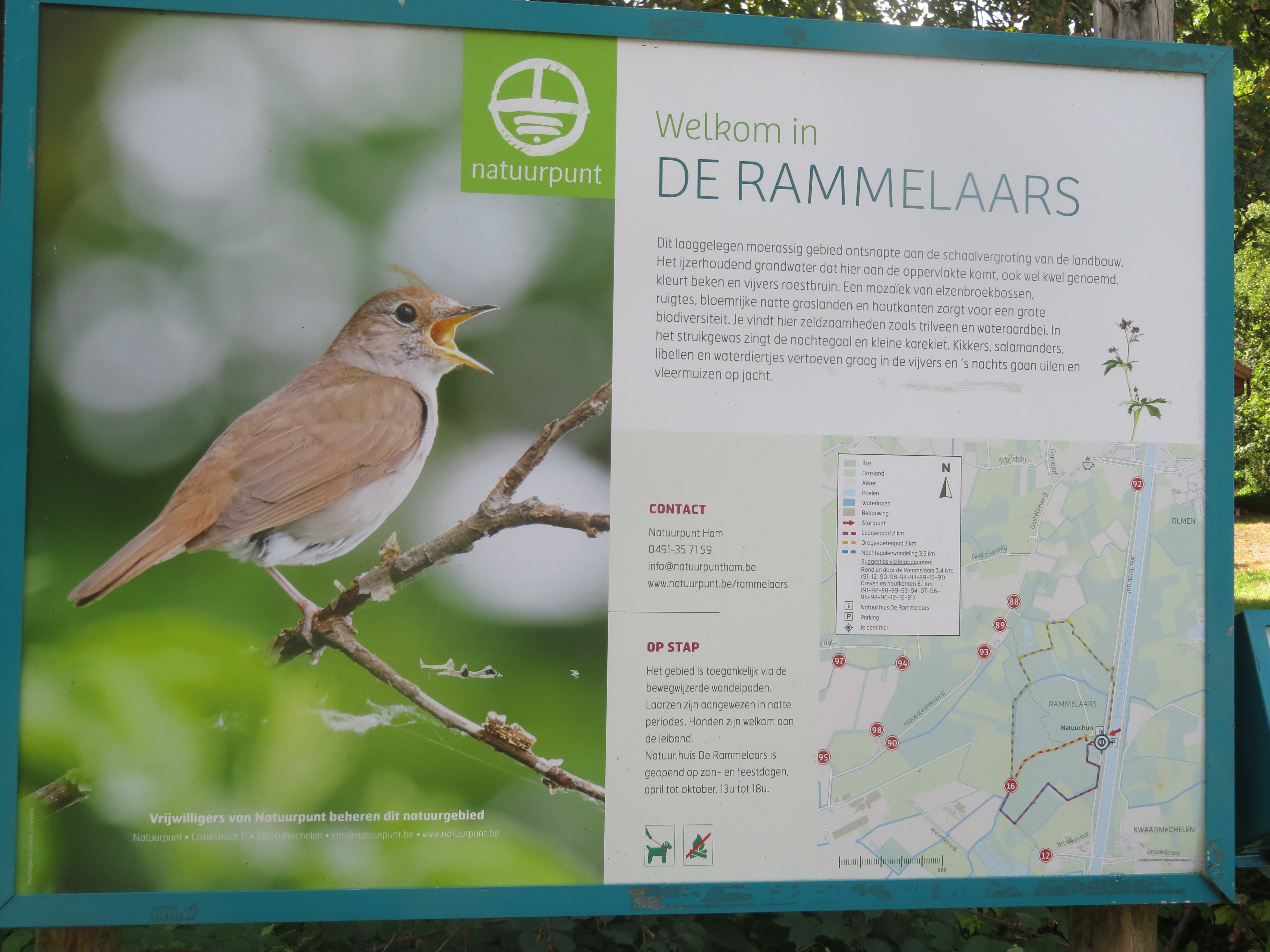 2025-0916 Rammelaars