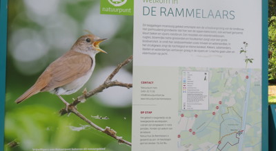 2025-0916 Rammelaars