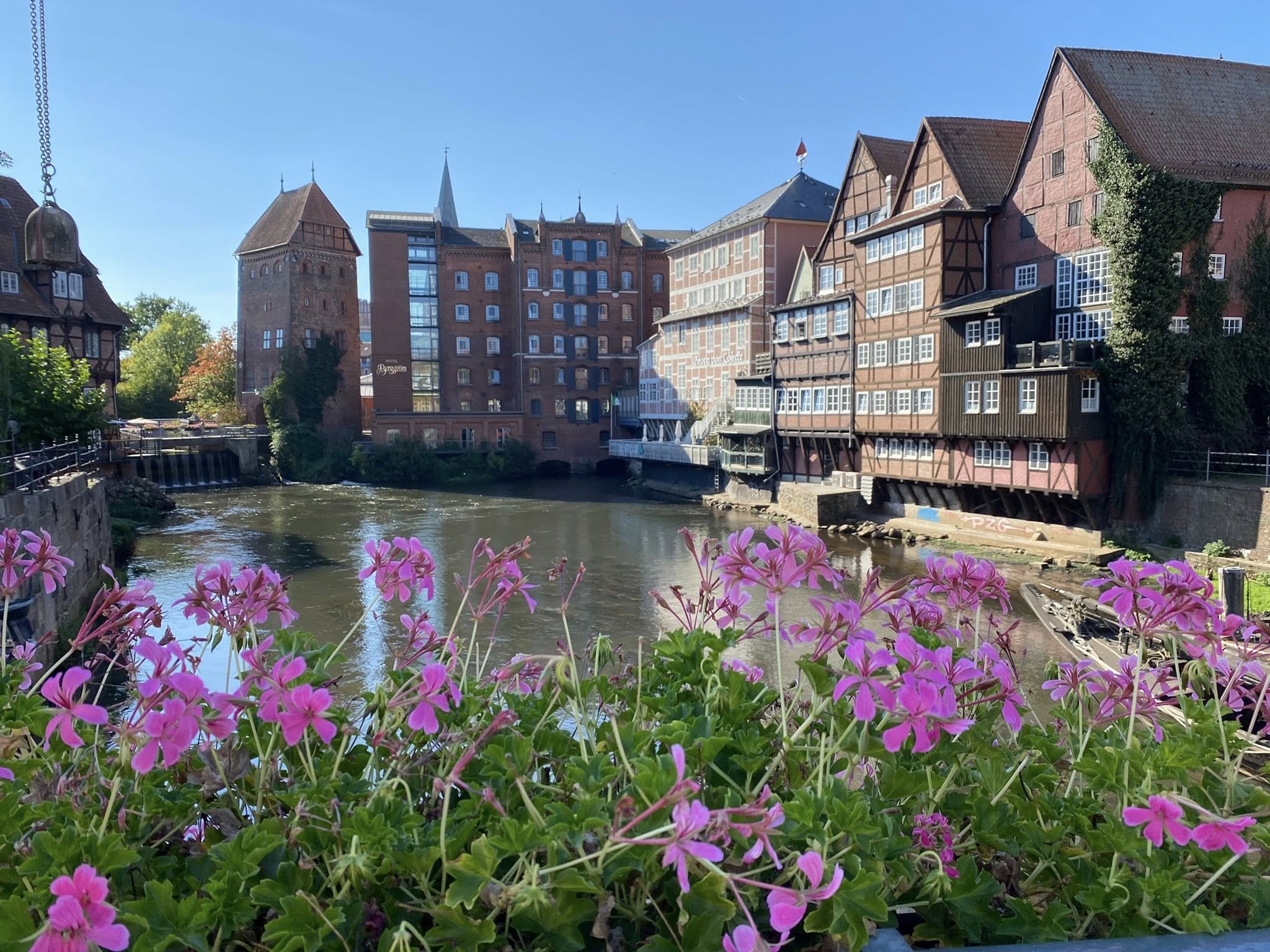 558221044 1244172507512398 6205064820493991070 N