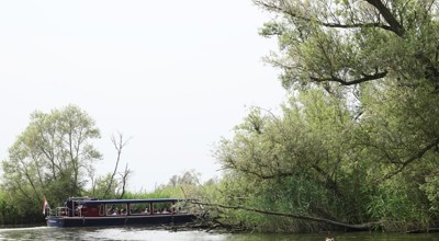 Daguitstap Dordrecht Biesbosch