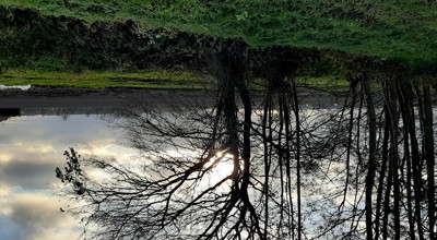 20201217 151546 Nmwandeling Zemst Laar