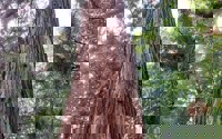 IMG 20251010 WA0033