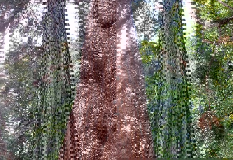 IMG 20251010 WA0033