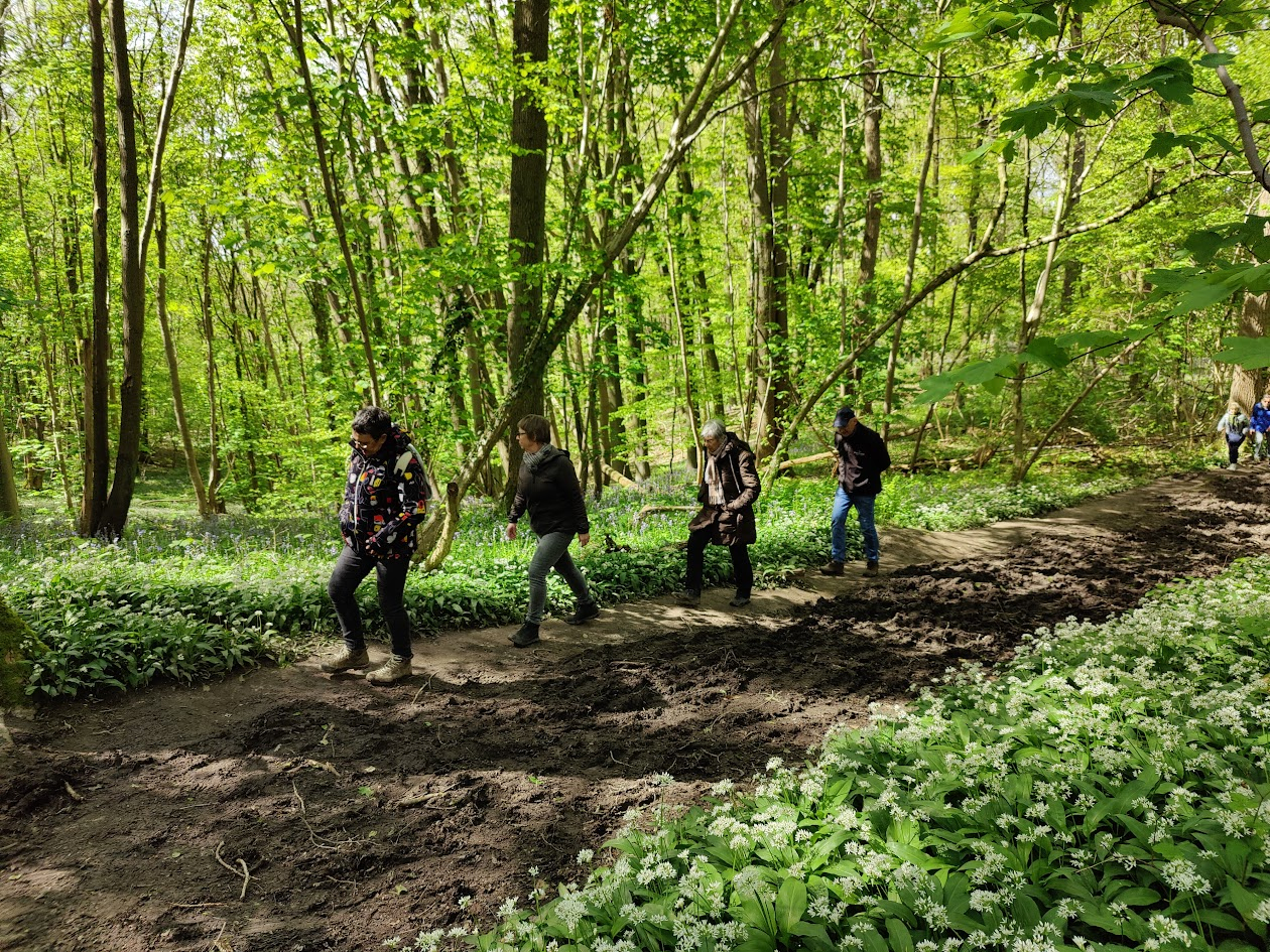 24.04.22 Daslook Wand (21)