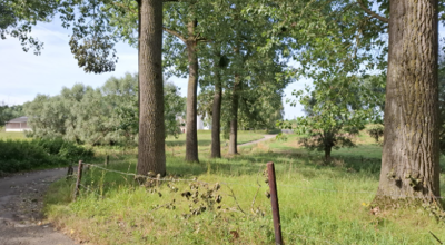 Wandeling 14 08 26