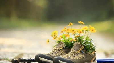 Flowers Hiking Boots Trail Closeup 46071138