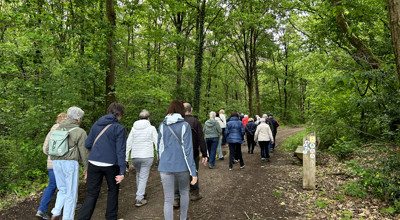Lentewandeling 260521